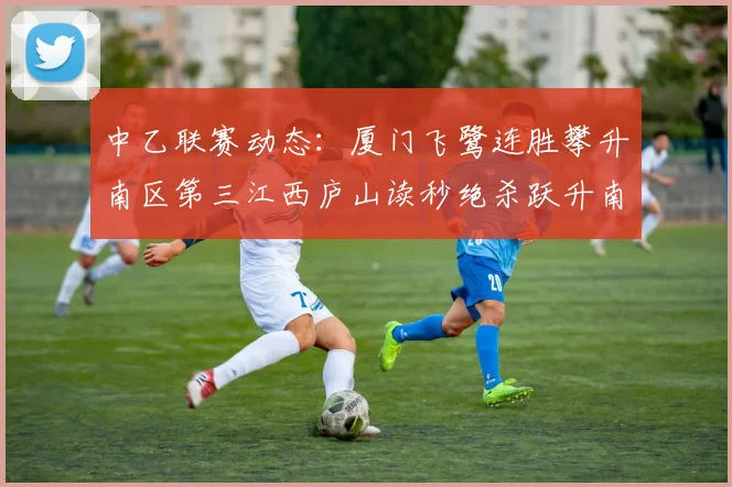 中乙联赛动态：厦门飞鹭连胜攀升南区第三江西庐山读秒绝杀跃升南区第四